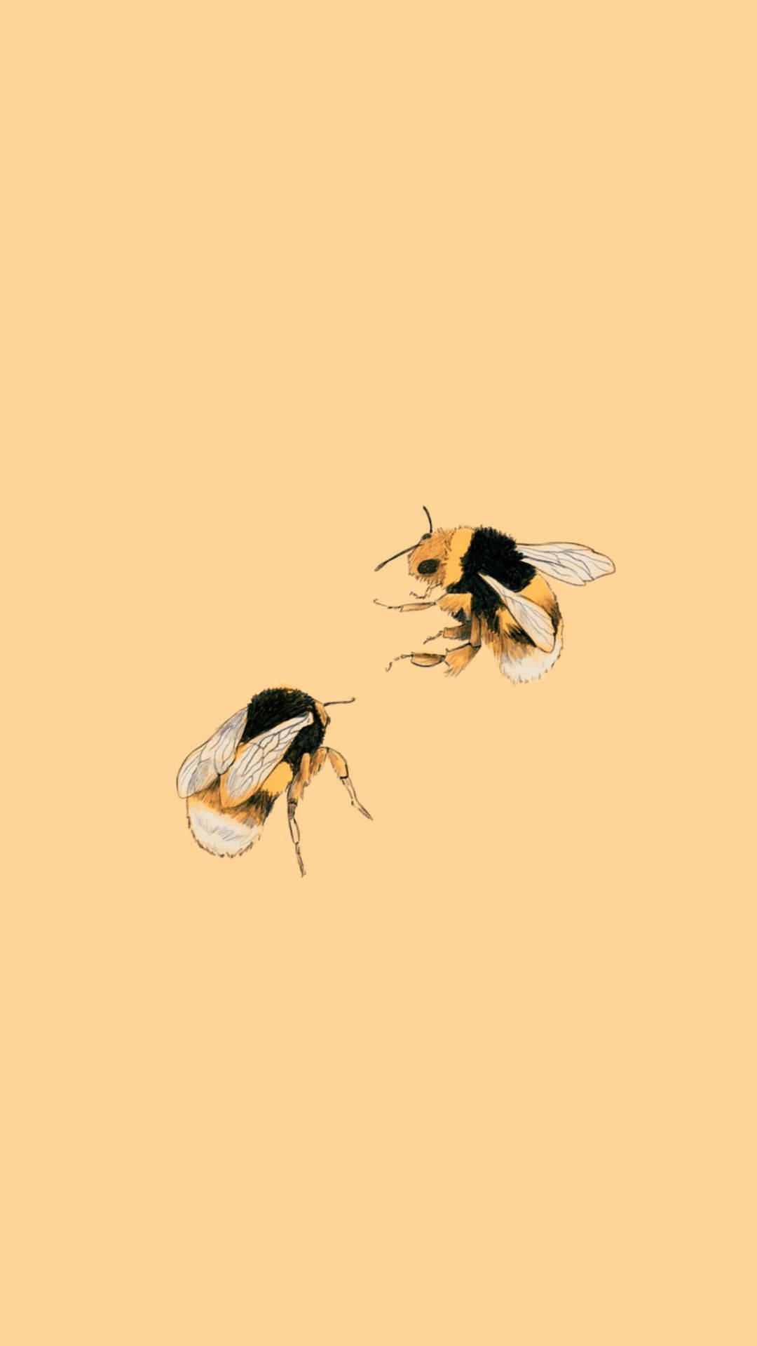 兩隻插圖風格的大黃蜂在蜜桃色背景前飛翔。 — 唯美蝴蝶動圖 壁紙