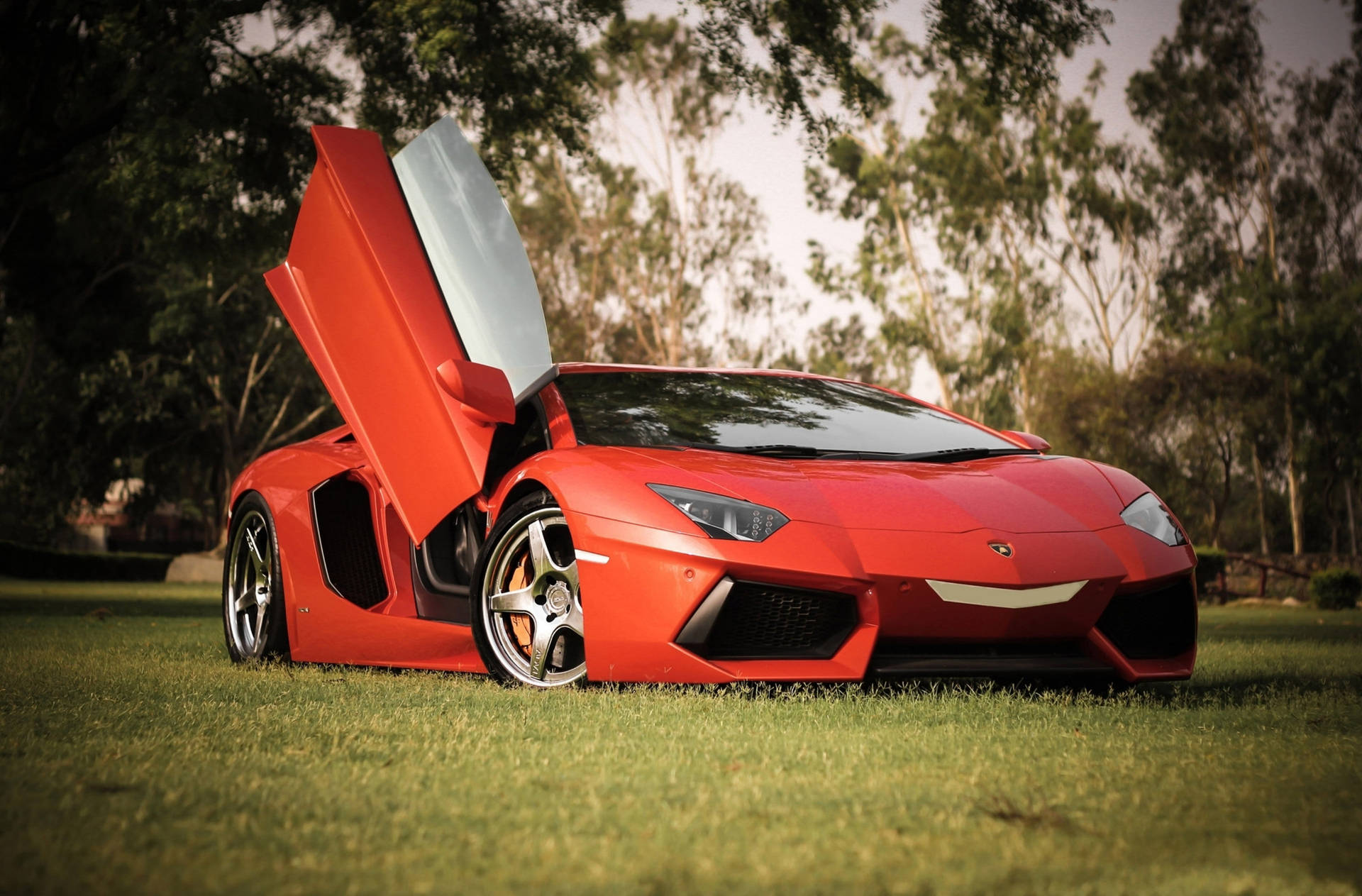 紅色林寶堅尼Aventador打開車門停在樹旁草地上。