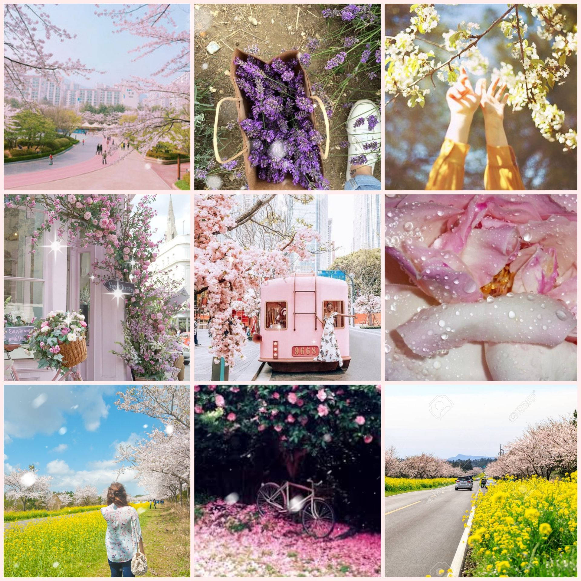 春天場景，有櫻花、粉紅色電車、黃色花朵和伸手觸摸花朵的手。