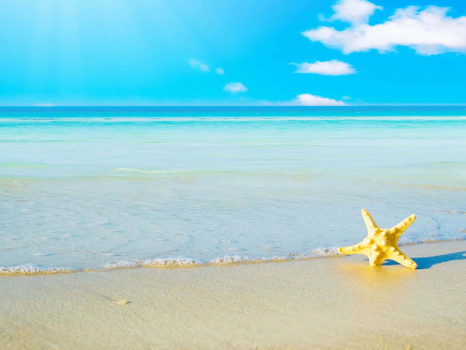 美麗夏日黃色海星 壁紙 — 一隻明亮的黃色海星躺在陽光照耀的沙灘上，溫柔的碧綠海浪與清澈的藍天和 fluffy 白雲相遇。