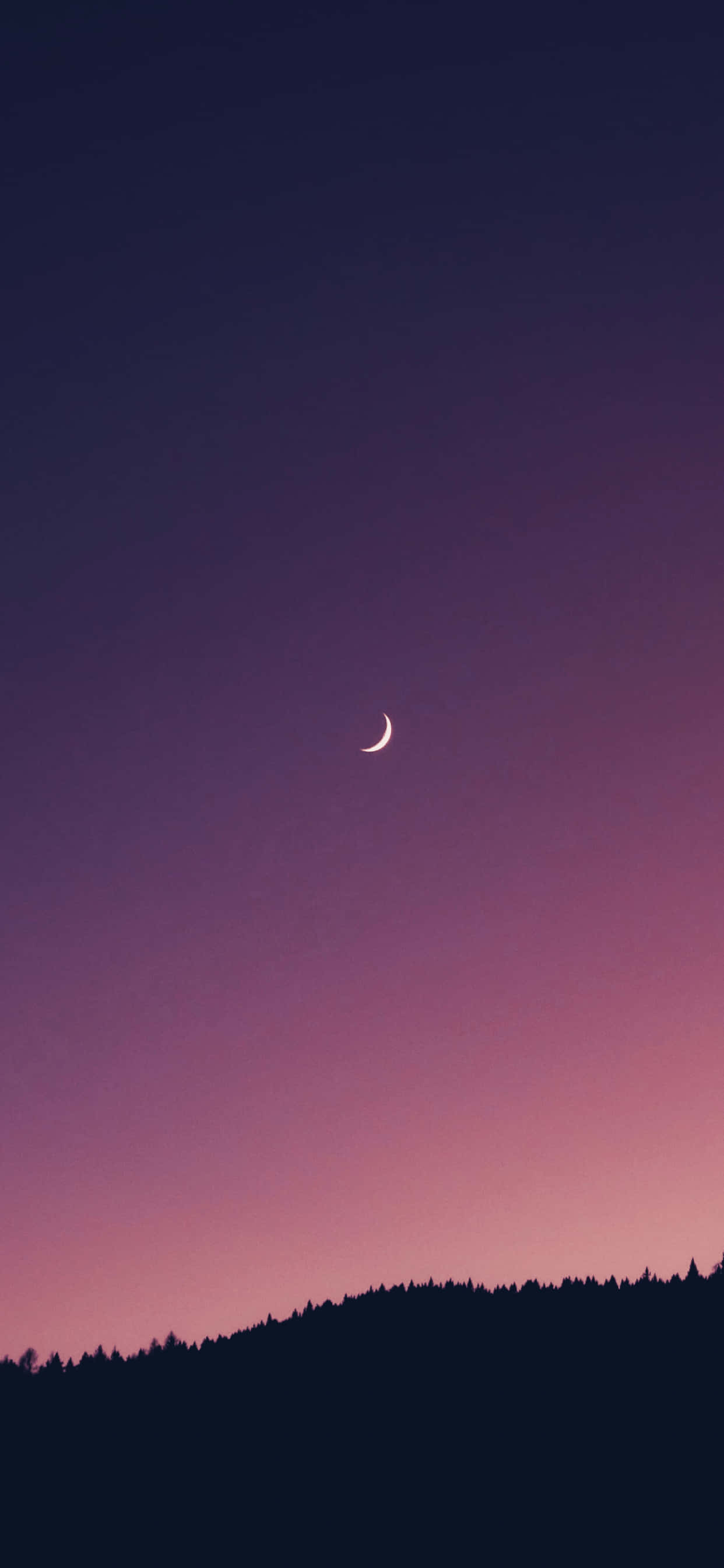 美麗夜晚的神秘月光 壁紙 — 一彎纖細的月牙在漸變的暮色天空中閃耀，下方是黑暗的森林輪廓。