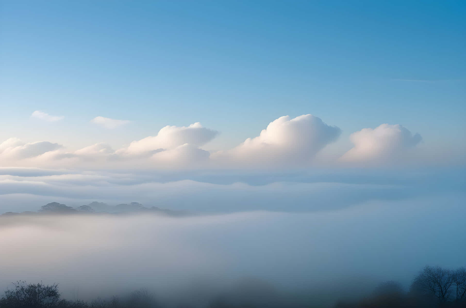 美麗天空與自然景觀 壁紙 — 寧靜的早晨景色， fluffy 白色雲朵漂浮在霧海之上，遠處樹木的剪影映襯著清澈的藍天。