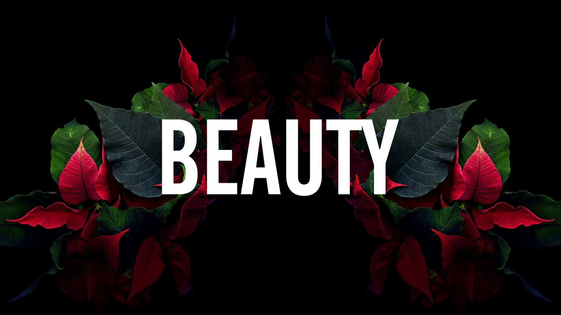 黑色背景上，beauty 一詞被紅色聖誕紅花朵和綠色葉子環繞。