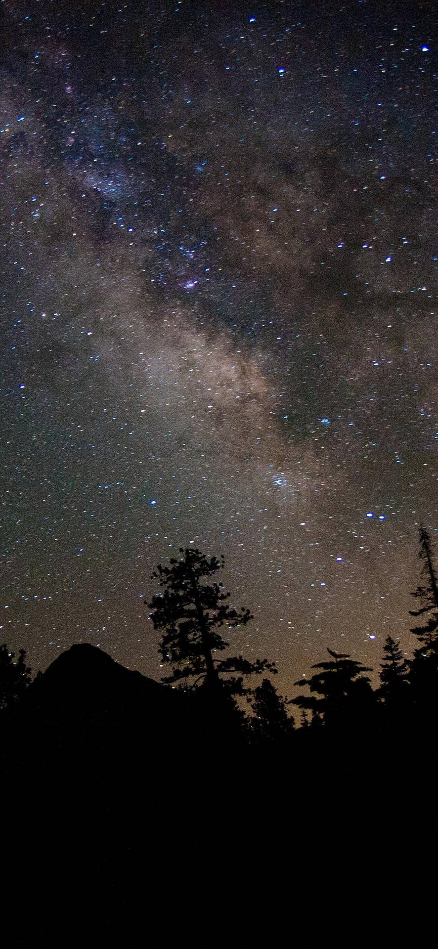 銀河系在山脈和松樹剪影上方（夜晚）