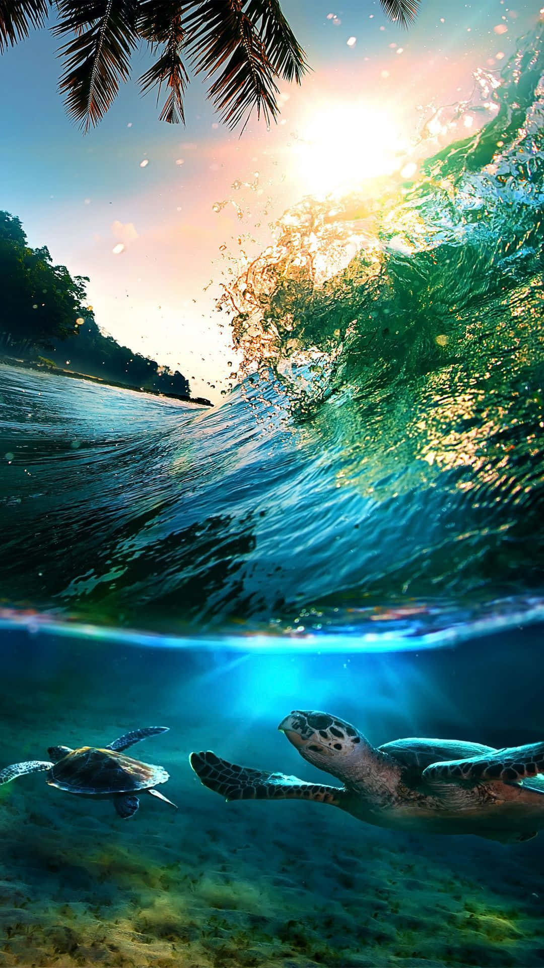 兩隻海龜在破碎的海浪下水中滑行，頭頂有棕櫚葉。