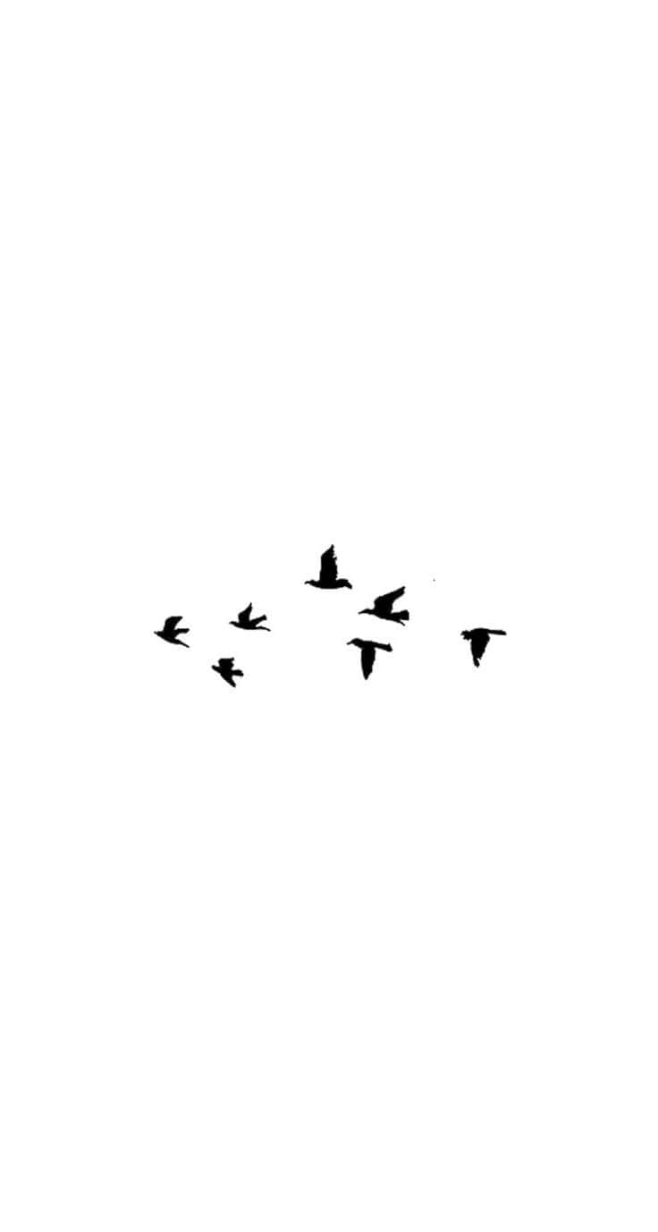 七隻鳥在白色背景下編隊飛行。