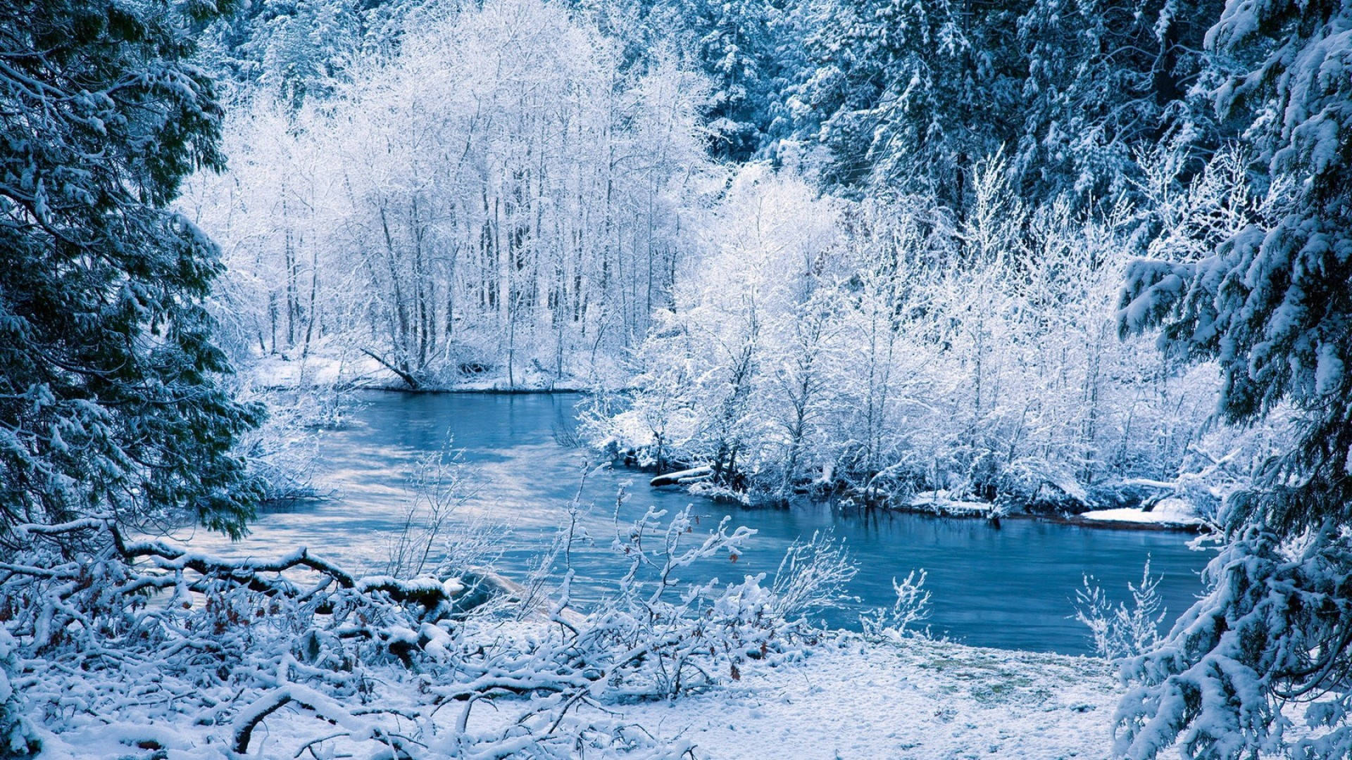 白雪覆蓋的森林，一條藍色河流蜿蜒穿過