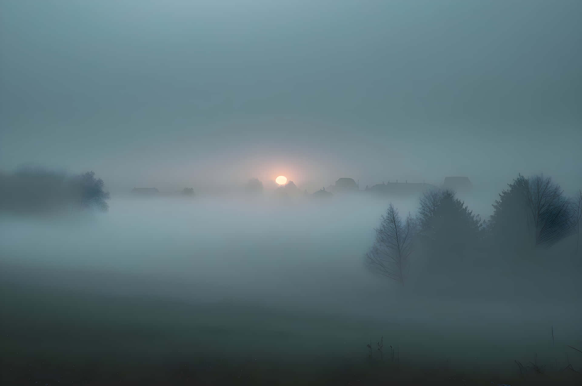 美麗的冬季日出 壁紙 — 太陽穿過濃霧升起，籠罩著寧靜的鄉村景觀，樹木和遠處房屋呈現剪影。