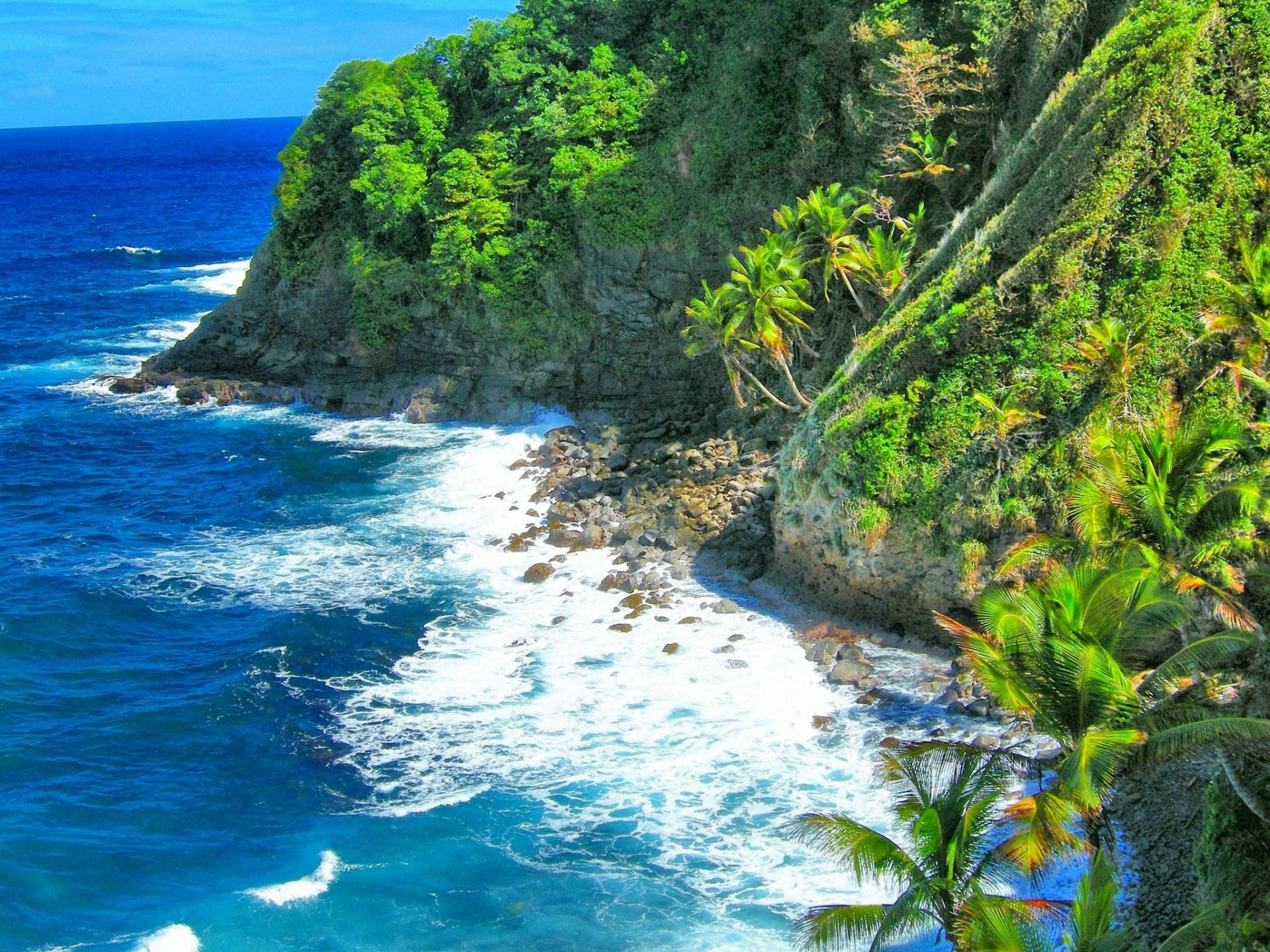 美麗的加勒比海沿岸 壁紙 — 充滿活力的藍綠色海浪拍打岩石海岸，下方是茂密的綠色懸崖，點綴著棕櫚樹，上方是清澈的藍天。