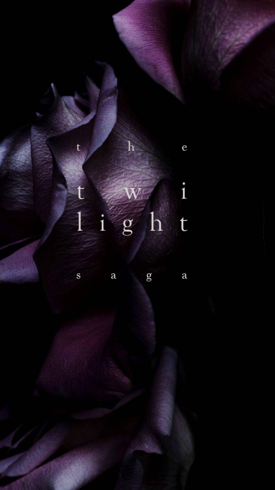 深紫色玫瑰，上面覆蓋著 'the twilight saga' 文字。
