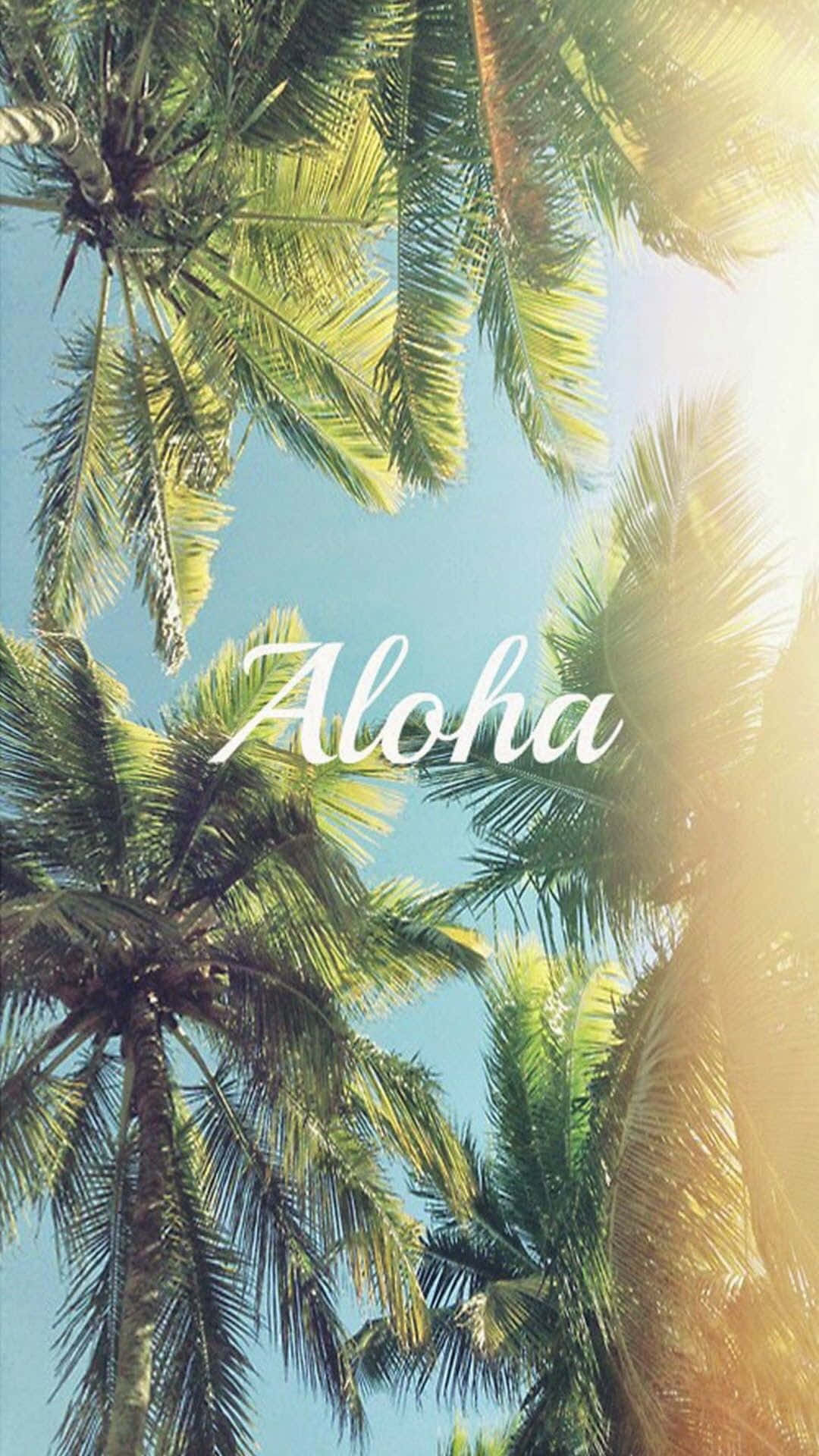 棕櫚樹在明亮的陽光下搖曳，藍天背景上帶有Aloha文字