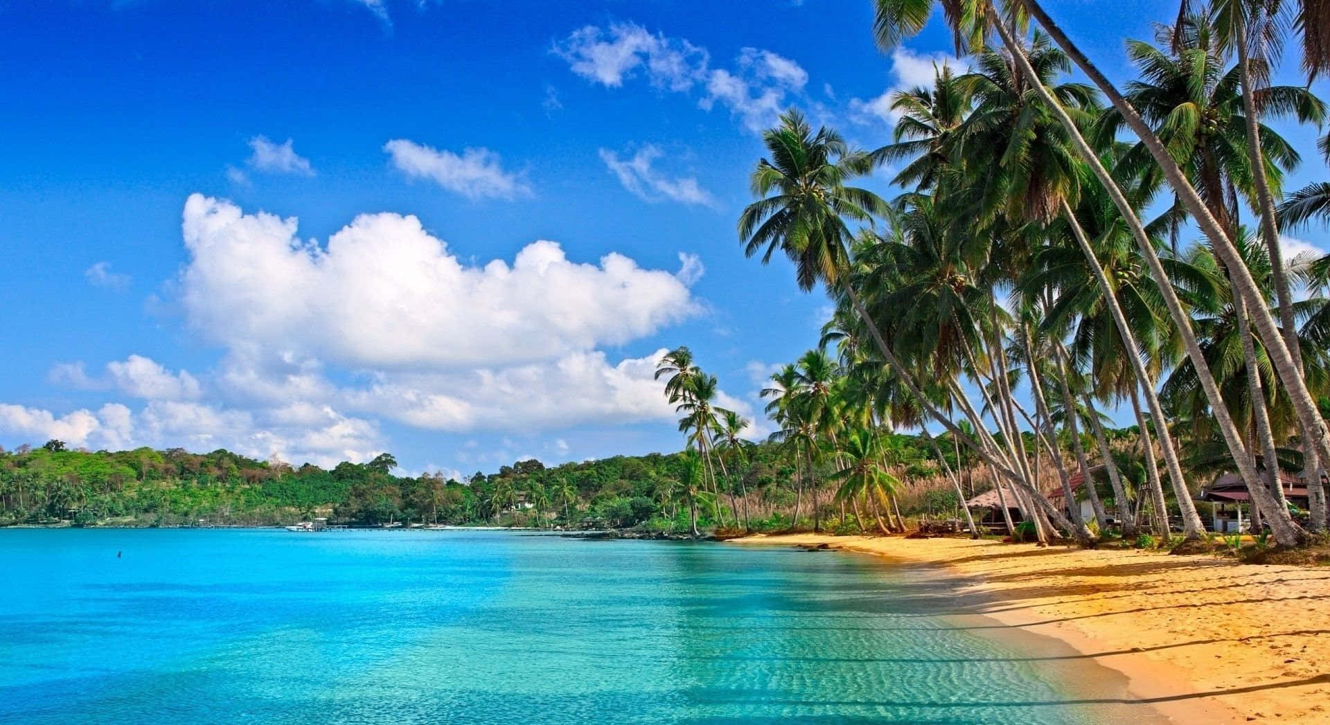 美麗的海灘風景 壁紙 — 一個充滿活力的熱帶海灘，有碧綠的海水、金色的沙灘和高大的棕櫚樹，在明亮的藍天和白雲下搖曳。