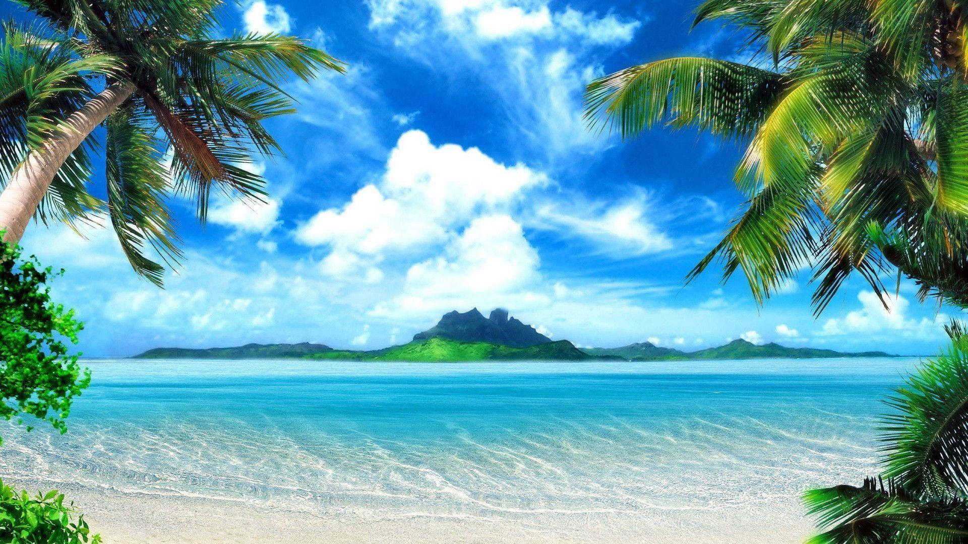 美麗的熱帶海灘景觀 壁紙 — 熱帶海灘被棕櫚葉框住，有藍綠色海水和遠處的綠色島嶼，在明亮的藍天下。