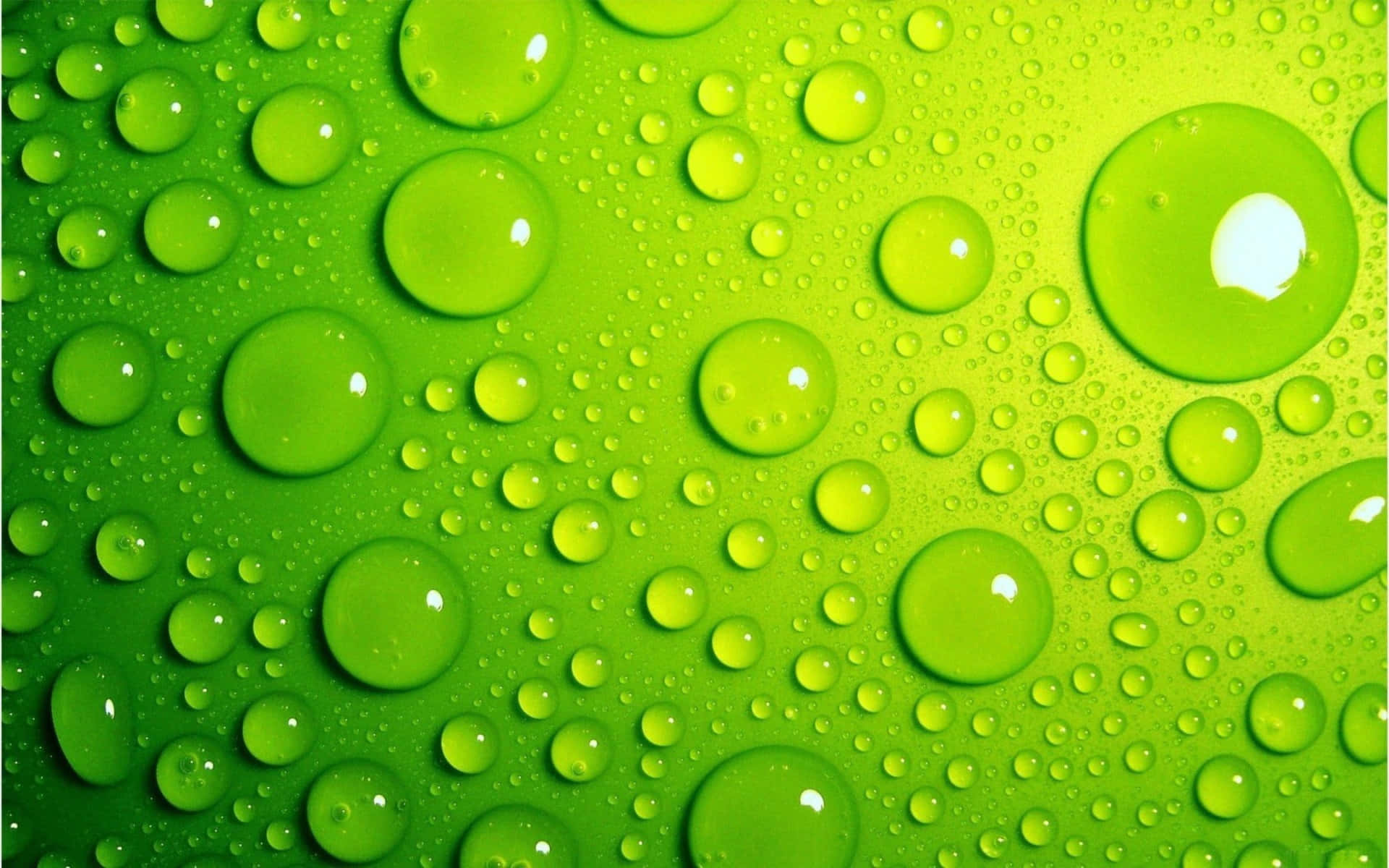 水滴在充滿活力的綠色表面上反射光線的特寫。