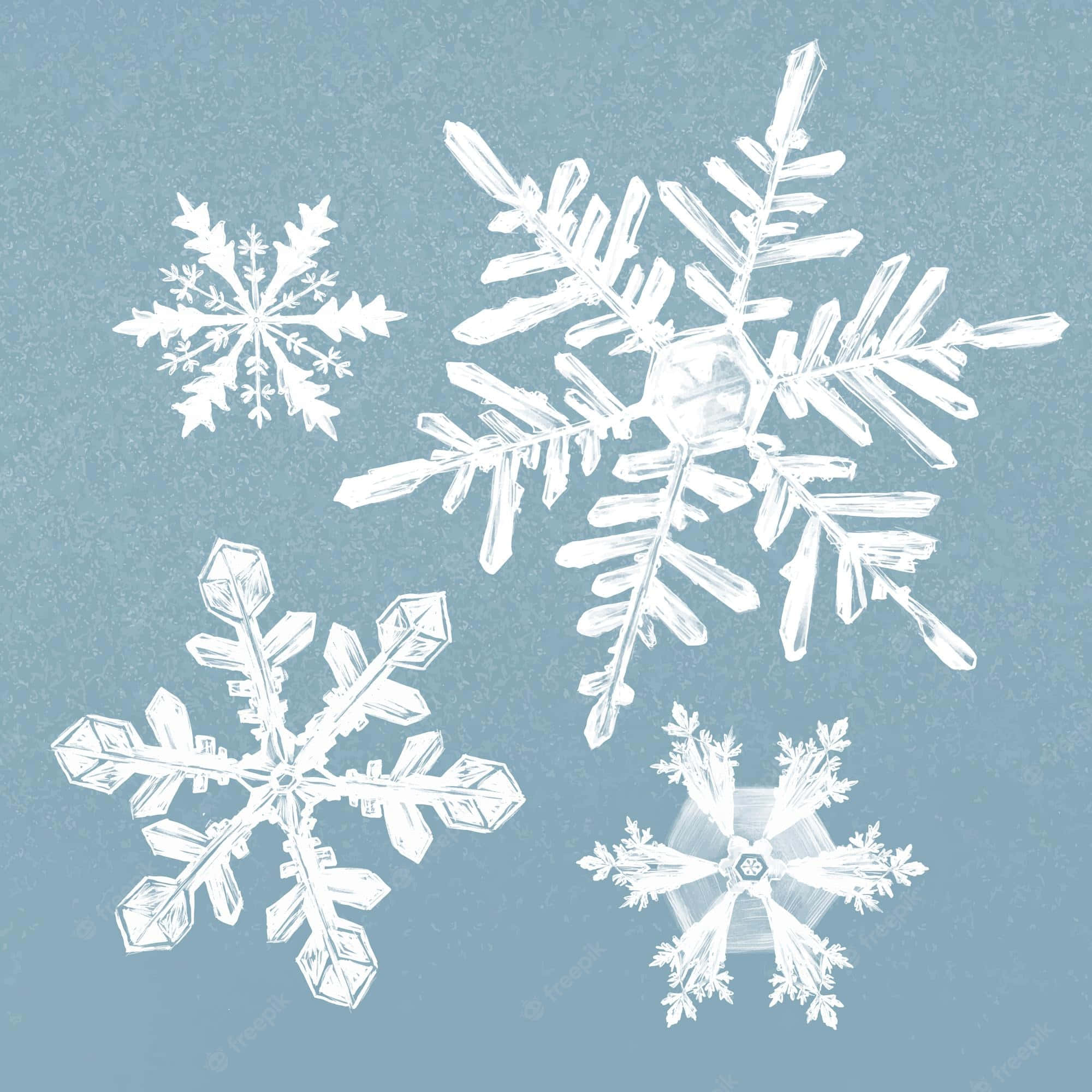 美麗的藍色雪花 壁紙 — 四個精緻複雜的白色雪花漂浮在帶有紋理的冰藍色背景上。