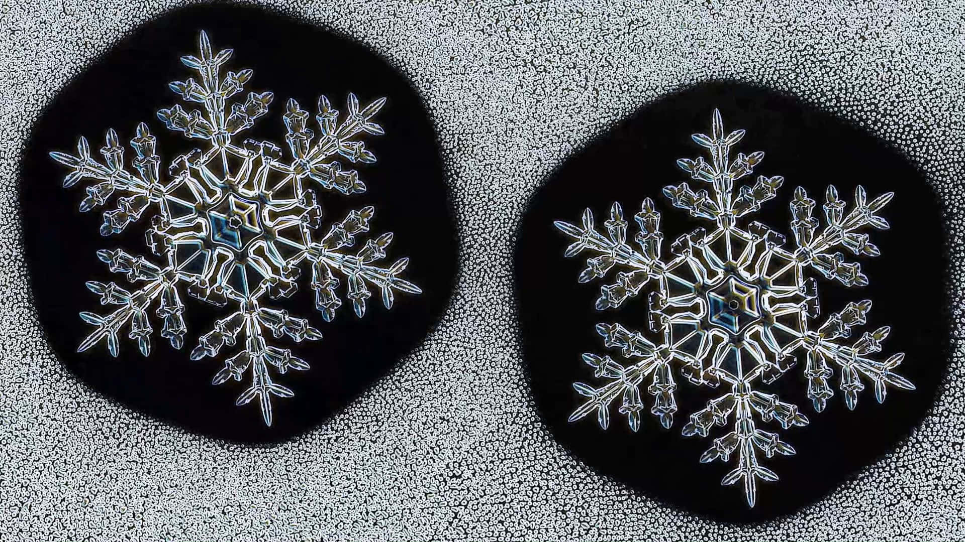兩個細節豐富的雪花，在灰色紋理背景上帶有金屬亮點。