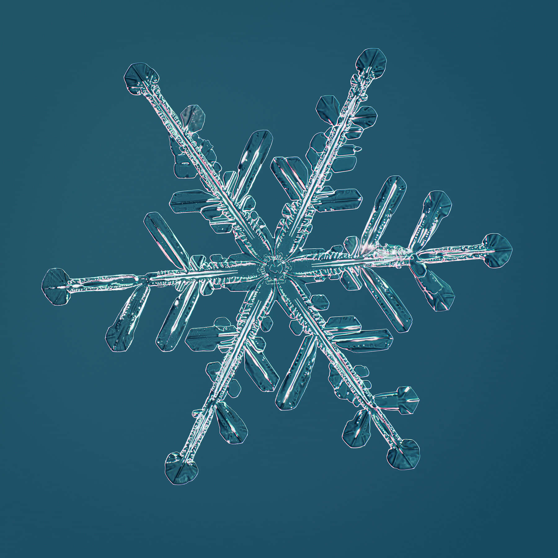 美麗的雪景 壁紙 — 一個精緻的雪花，有六個對稱的臂，在深青色背景上發光。