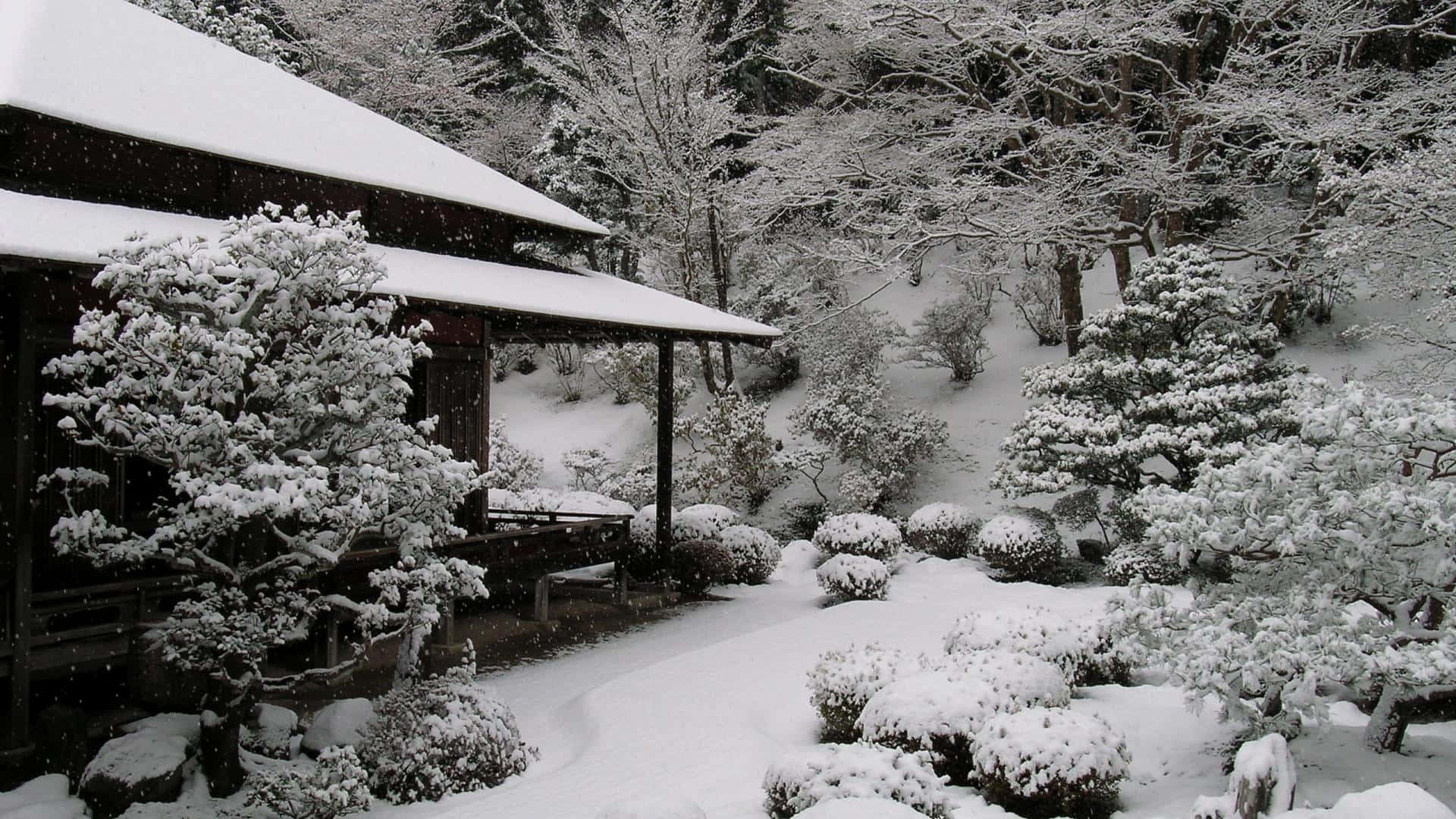 雪覆蓋了傳統的日本花園和冬季的木屋。