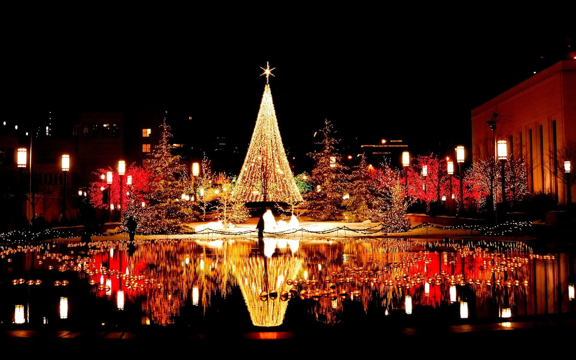 夜晚池塘中倒映的發光聖誕樹，帶有紅燈和雪。