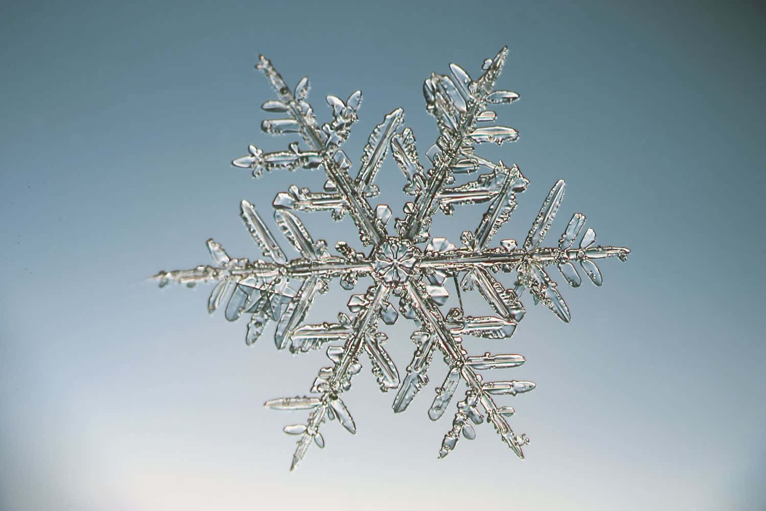 雪花圖片