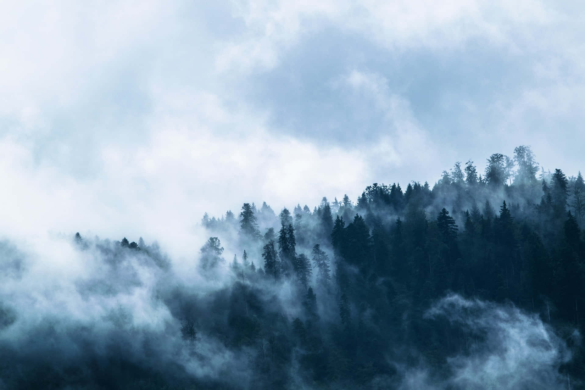 美麗霧林景觀 壁紙 — 霧氣籠罩的森林山脈在淡藍色天空下穿過旋轉的雲層升起。