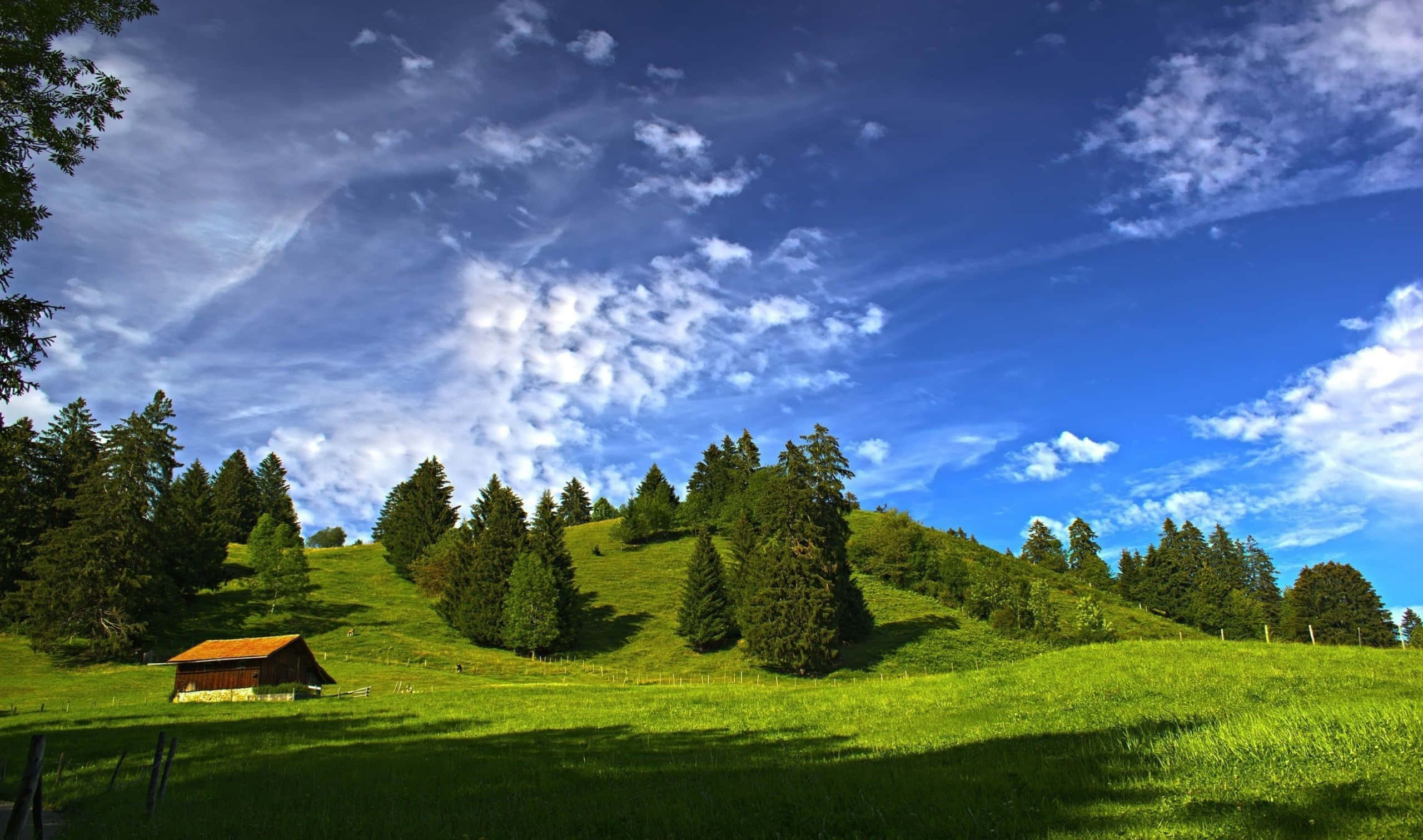 美麗風景晴日 壁紙 — 一間孤獨的木屋坐落於陽光明媚的綠色山丘上，點綴著常青樹，上方是廣闊的藍天和蓬鬆的白雲。