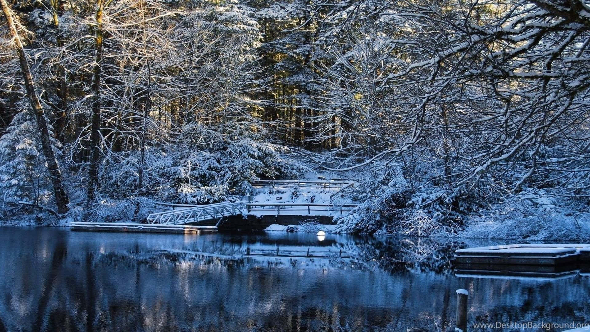 冬季森林中結冰湖面上的雪橋