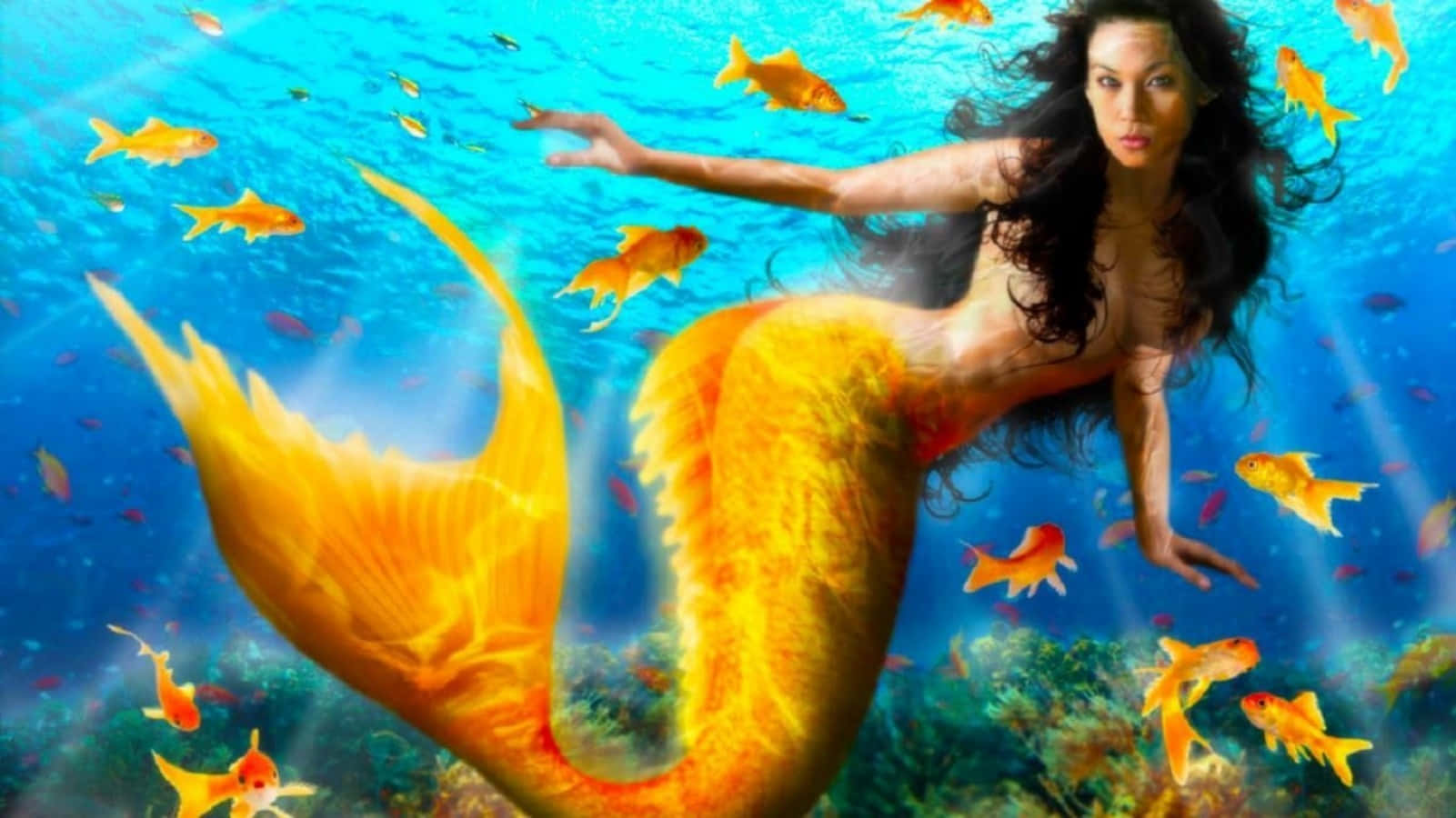 一條金色尾巴的美人魚在清澈的藍色海水中與橙色魚群一同游動。