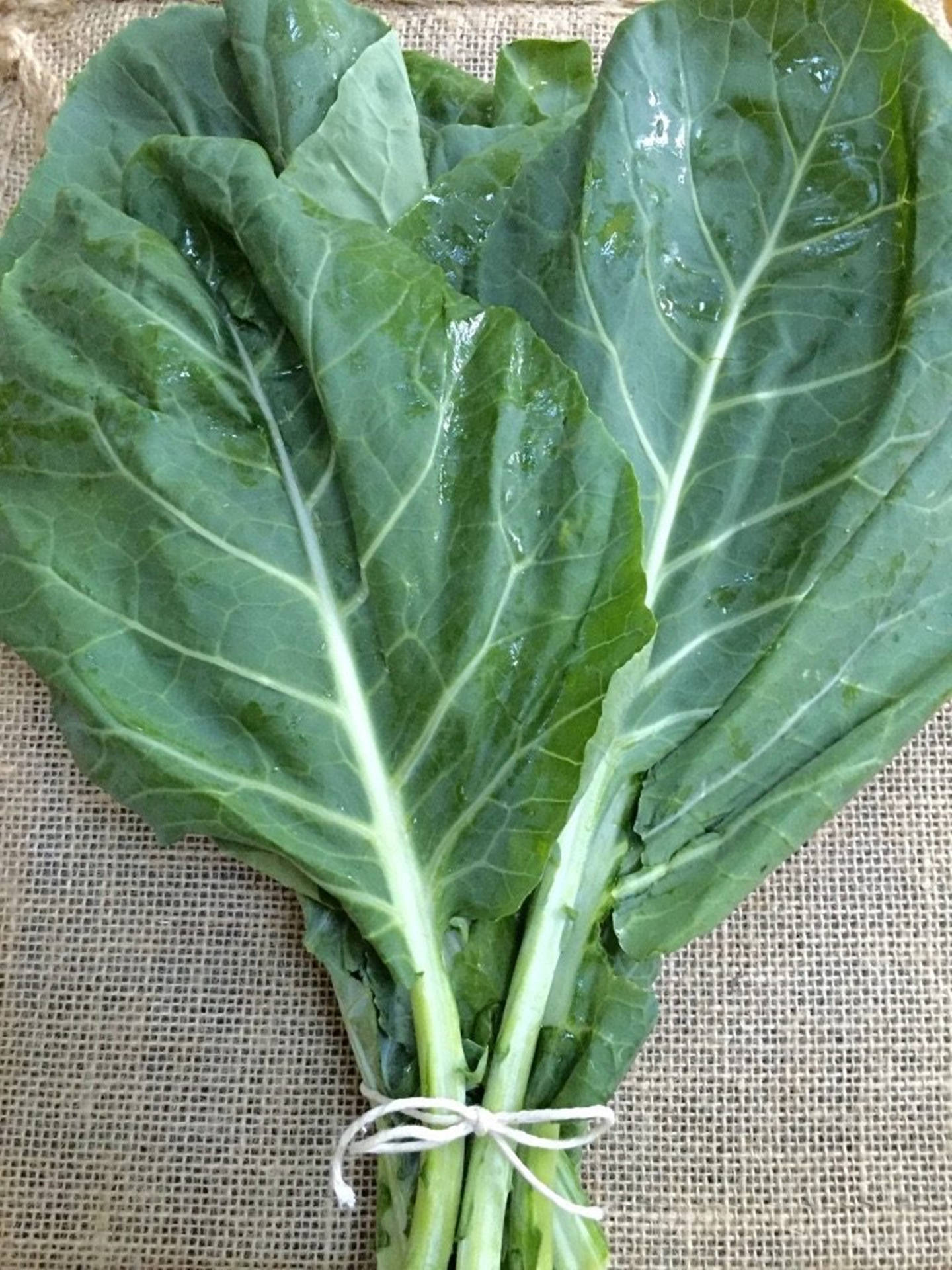 一束新鮮綠色葉菜用繩子綁在粗麻布上。