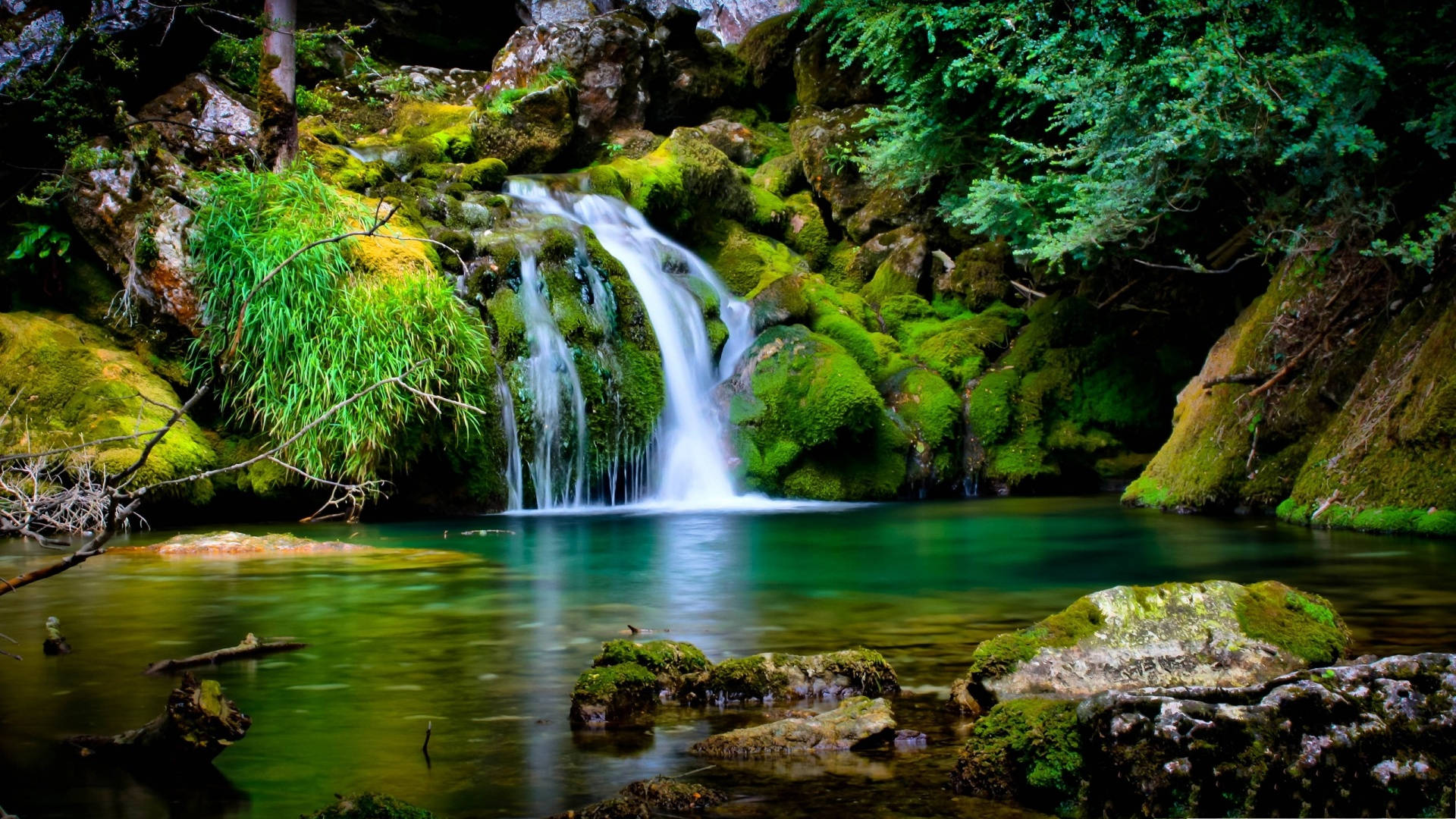 翠綠瀑布風景 壁紙 — 一道寧靜的瀑布從長滿苔蘚的岩石上傾瀉而下，流入一個被茂密綠色森林環繞的寧靜碧綠水池。
