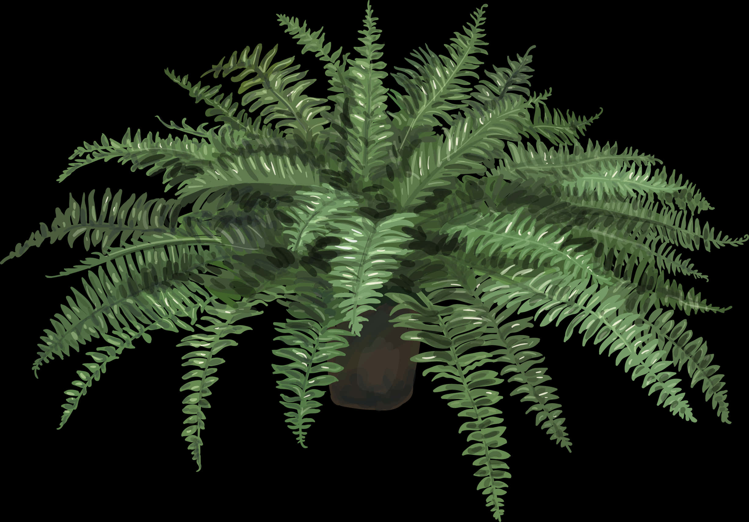 翠綠茂盛蕨類植物 壁紙
