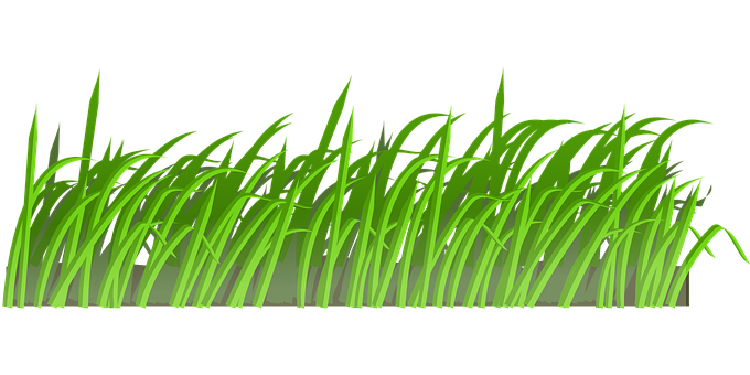 翠綠草地插圖 壁紙