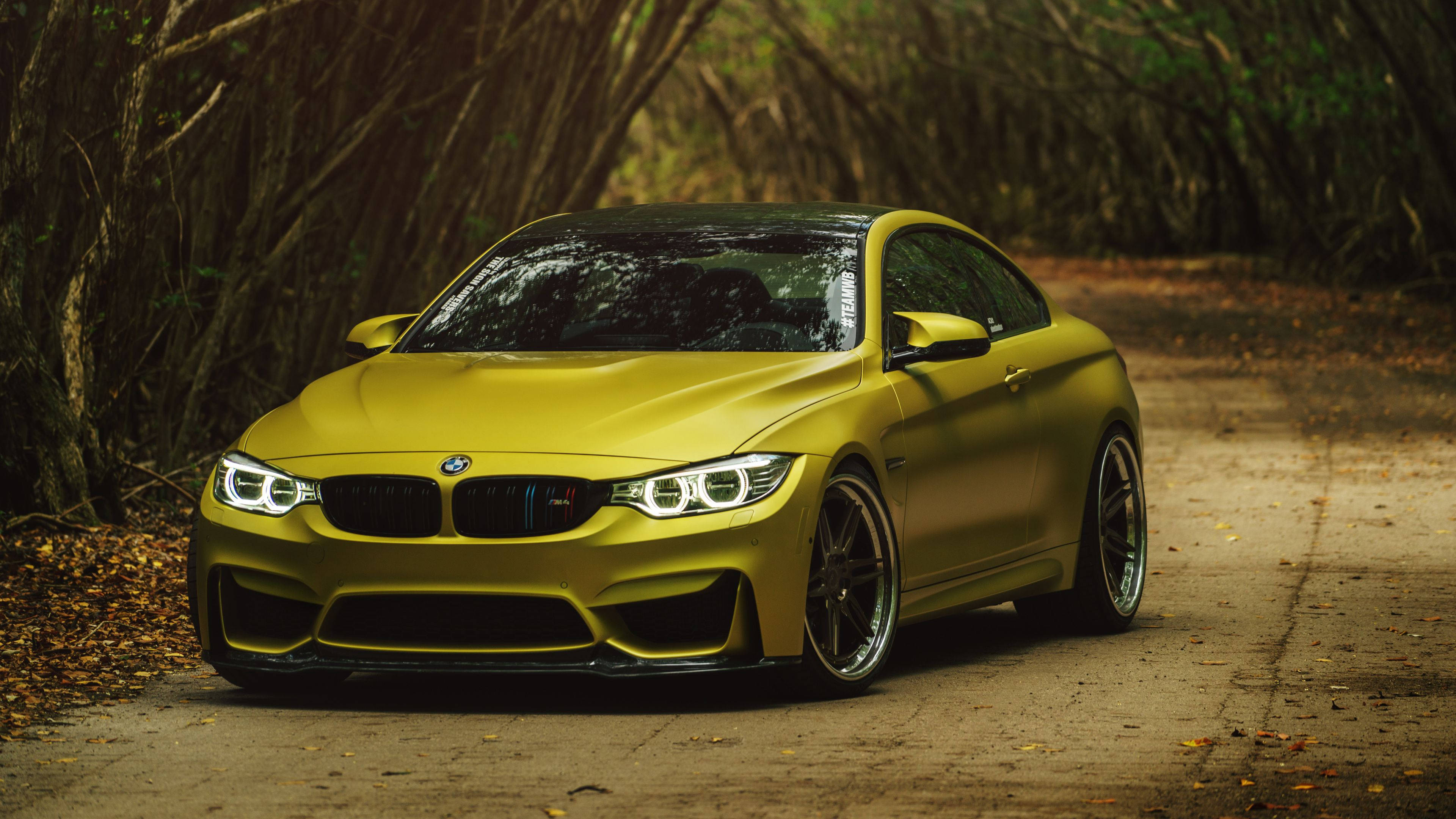 耀眼黃色 BMW M 系列動態風采 壁紙 — 一架啞光黃色寶馬M4雙門跑車停泊在森林泥路上，周圍是茂密的樹木和落葉。