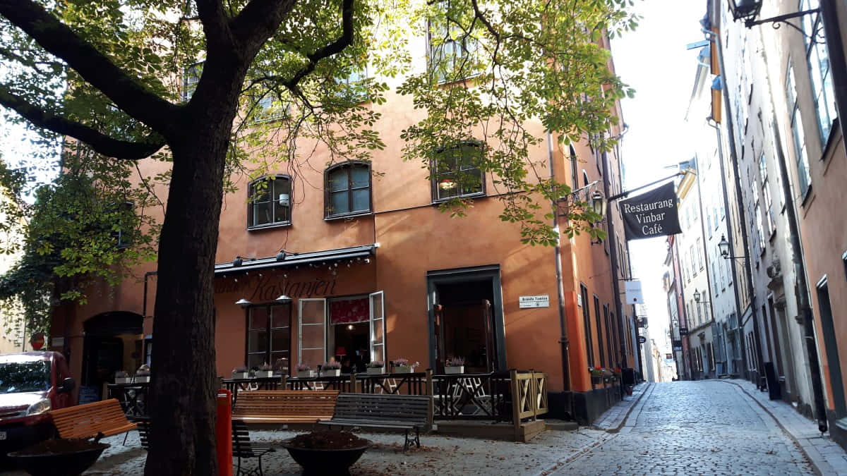 老城區維恩巴咖啡館餐廳 壁紙 — 一條狹窄的鵝卵石街道，兩旁是暖色調的建築和枝葉茂密的樹木，設有咖啡館，在斑駁的陽光下有戶外座位。