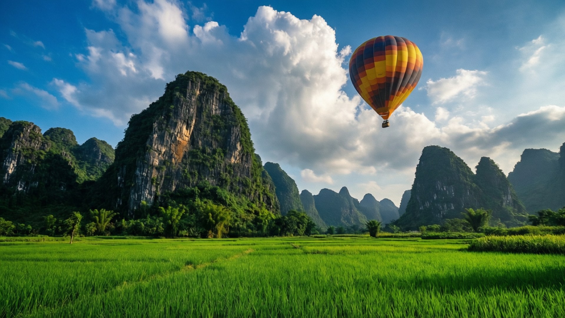 熱氣球在綠色稻田上空翱翔，背景是喀斯特山脈。
