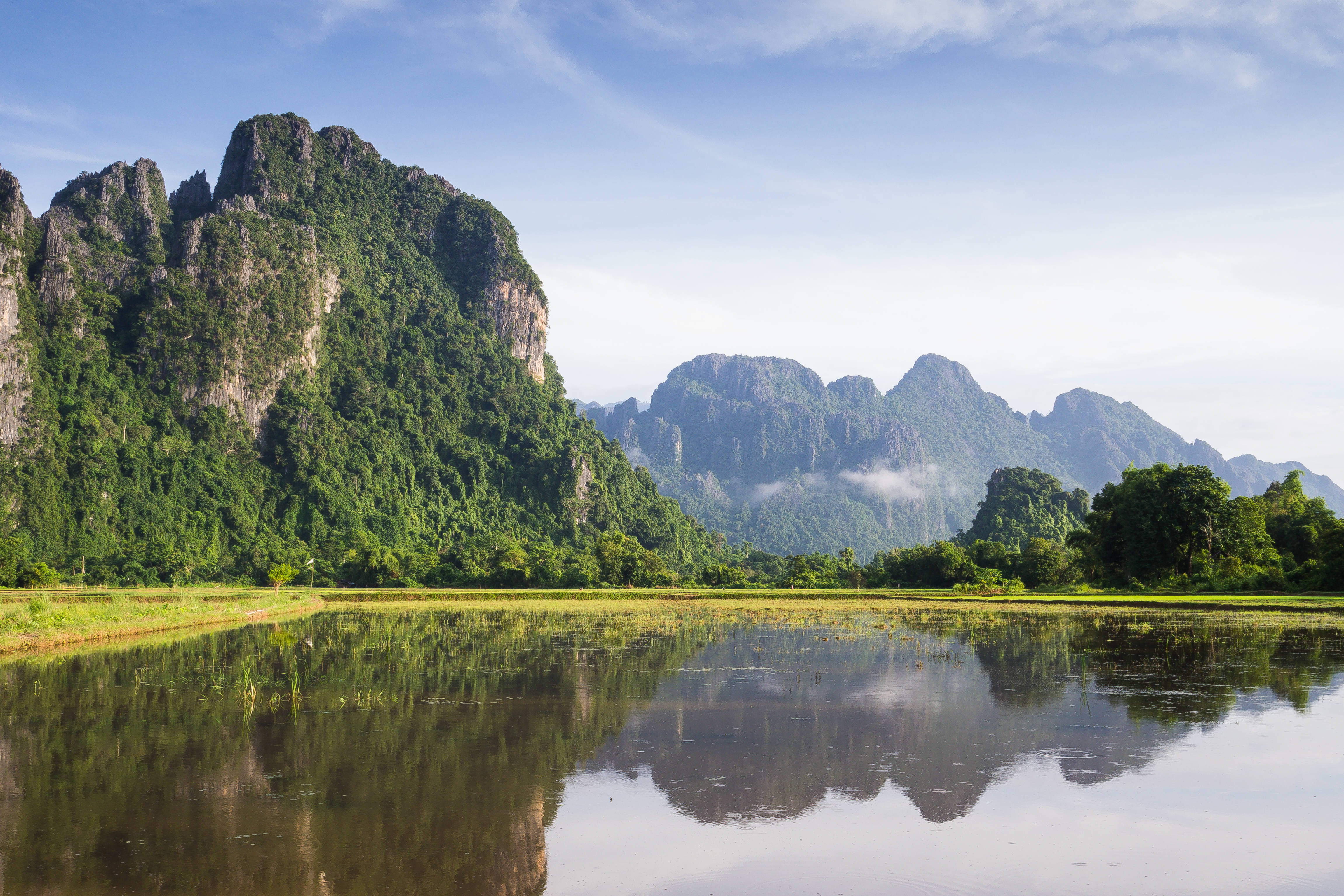 老撾萬榮山景 壁紙 — 高聳的綠色喀斯特山脈在明亮的藍天下，倒映在平靜的水稻田中，呈現出雄偉的輪廓。