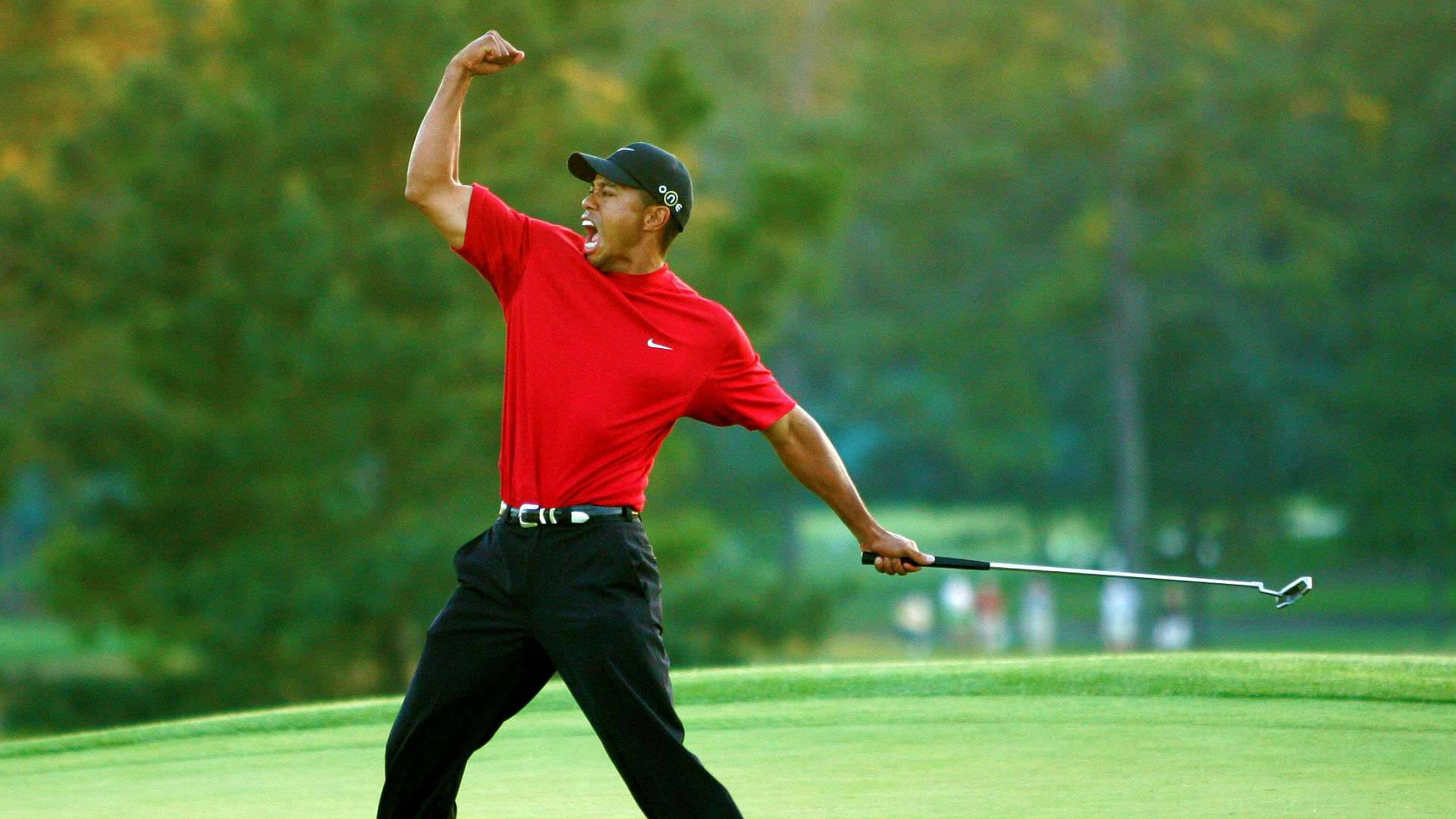 woods 桌布 壁紙 — 老虎活士在翠綠的高爾夫球場上高舉拳頭，發出勝利的呼喊，慶祝勝利。