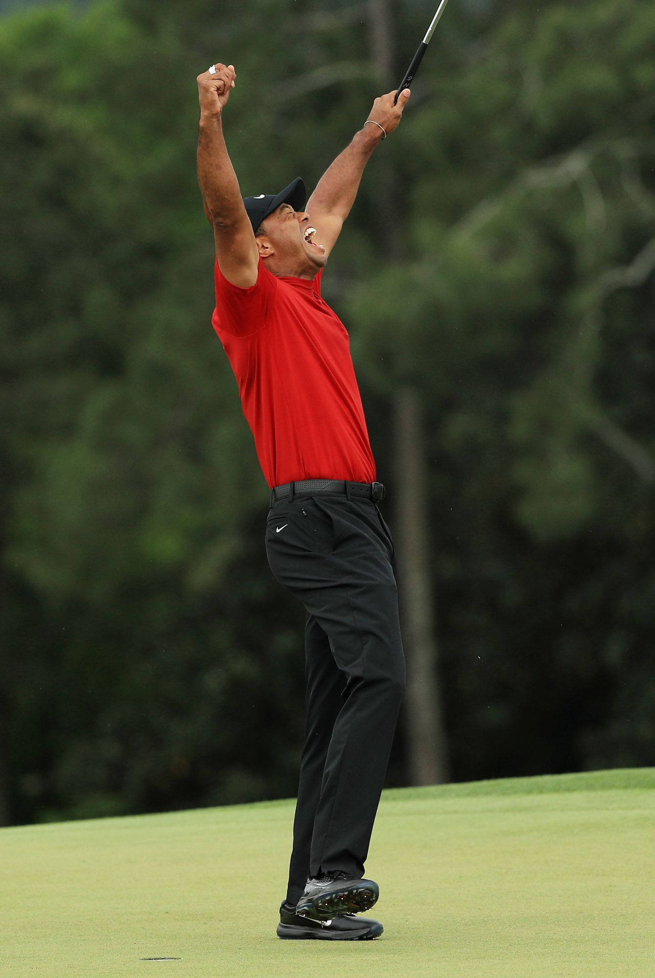 woods 桌布 壁紙 — 老虎活士在高爾夫果嶺上高舉雙臂慶祝勝利，身穿紅色襯衫和黑色帽子。