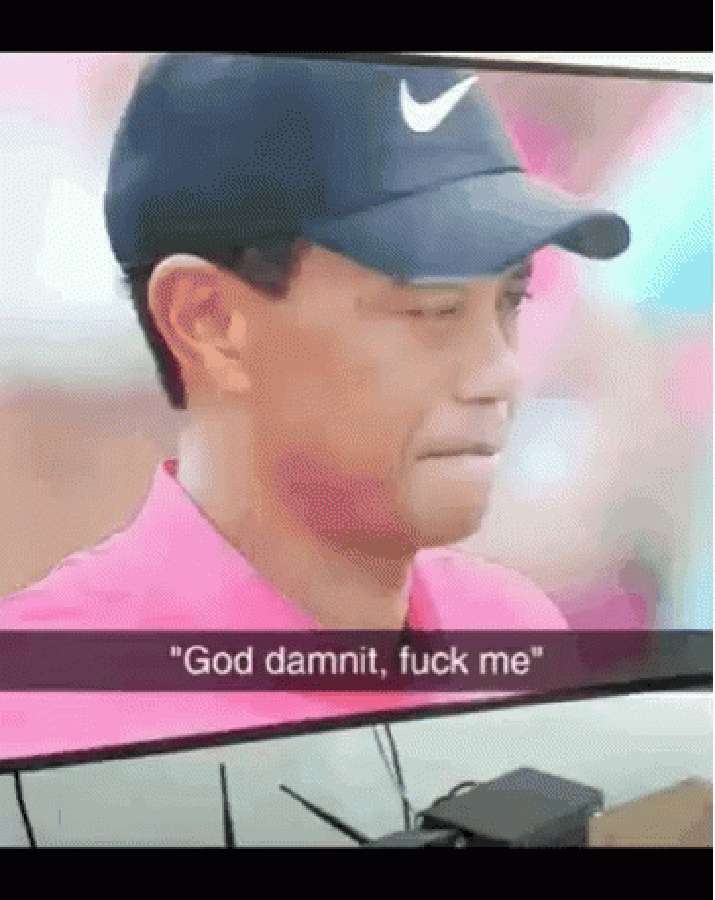 老虎活士慶祝賽事勝利 壁紙