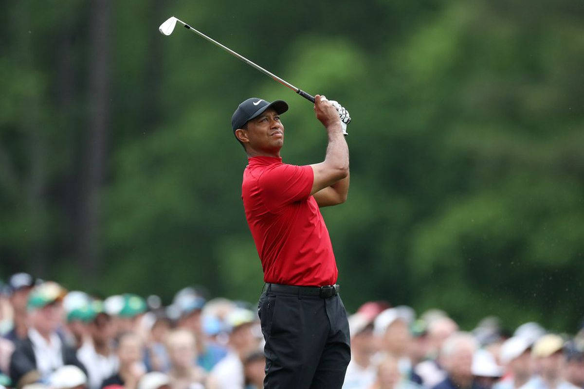 woods 桌布 壁紙 — 老虎活士穿著紅色襯衫和黑色帽子，在揮桿中途高舉高爾夫球桿，背景是模糊的綠色樹木和人群。