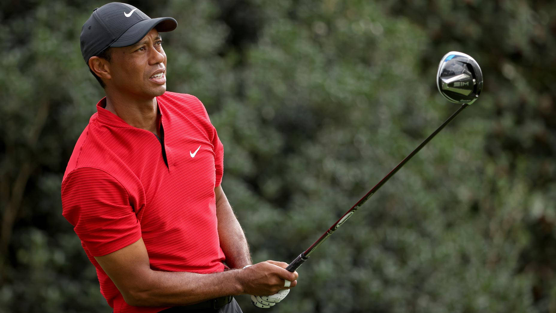 woods 桌布 壁紙 — 老虎活士身穿紅色Nike Polo衫和帽子，在模糊的綠色樹葉背景下揮桿。