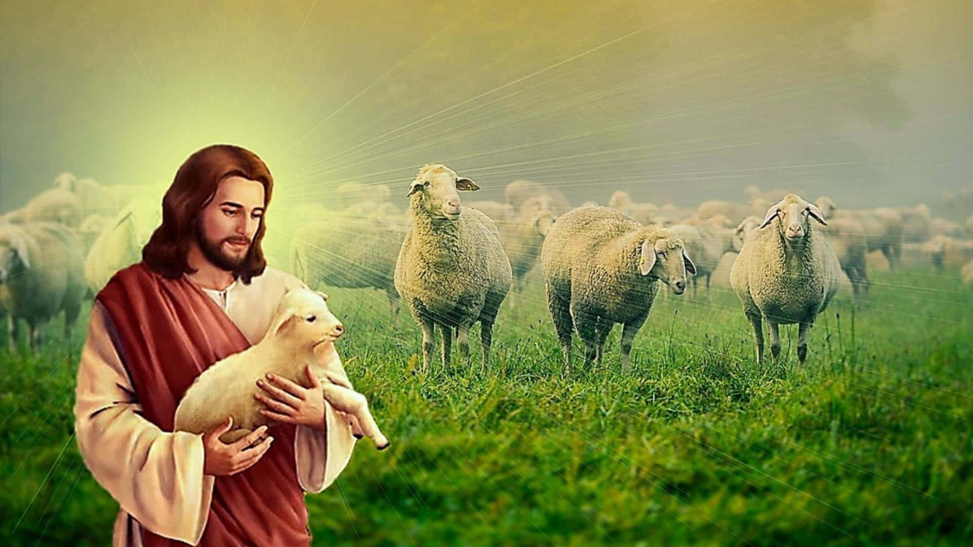 Jesus With Sheep 桌布 壁紙 — 耶穌在光芒四射的田野中抱著一隻羔羊，羊群在金色光芒下吃草。