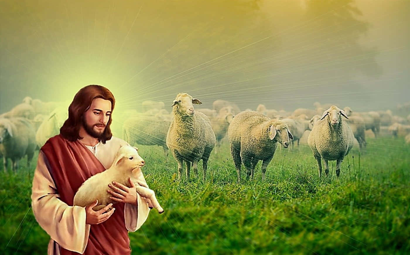 Holy 桌布 壁紙 — 耶穌在陽光明媚的草地上溫柔地抱著一隻羔羊，周圍有羊群在金色光芒下吃草。