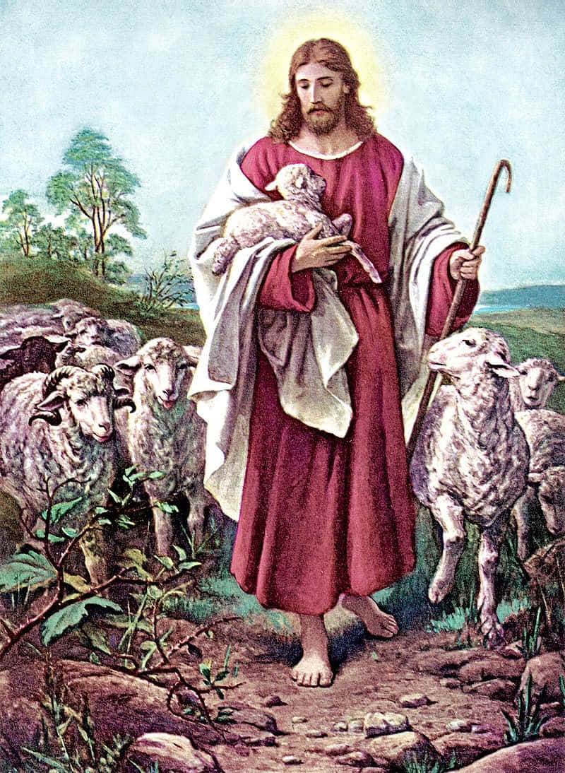 Jesus With Sheep 桌布 壁紙 — 耶穌基督帶着光環，溫柔地懷抱着一隻羔羊，同時在田園風光中手持牧羊杖，身旁有一群羊。