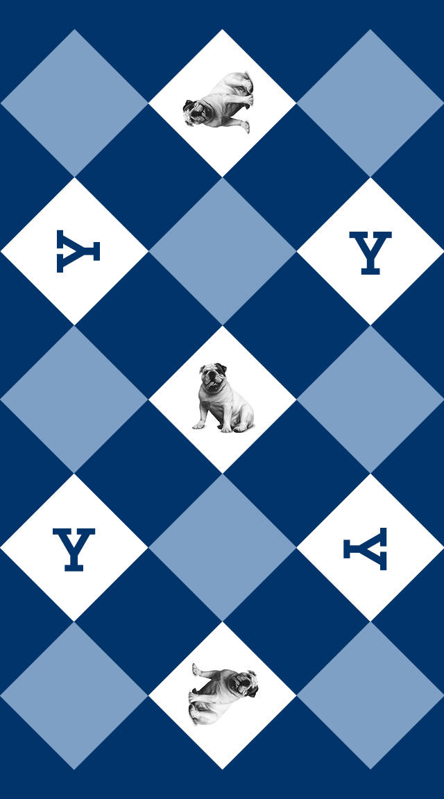 帶有八哥犬和Y字母的藍白菱形圖案。