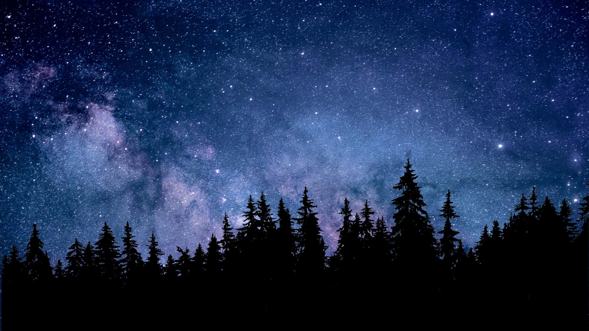 在充滿活力的繁星夜空下，帶有銀河的深色松林剪影。