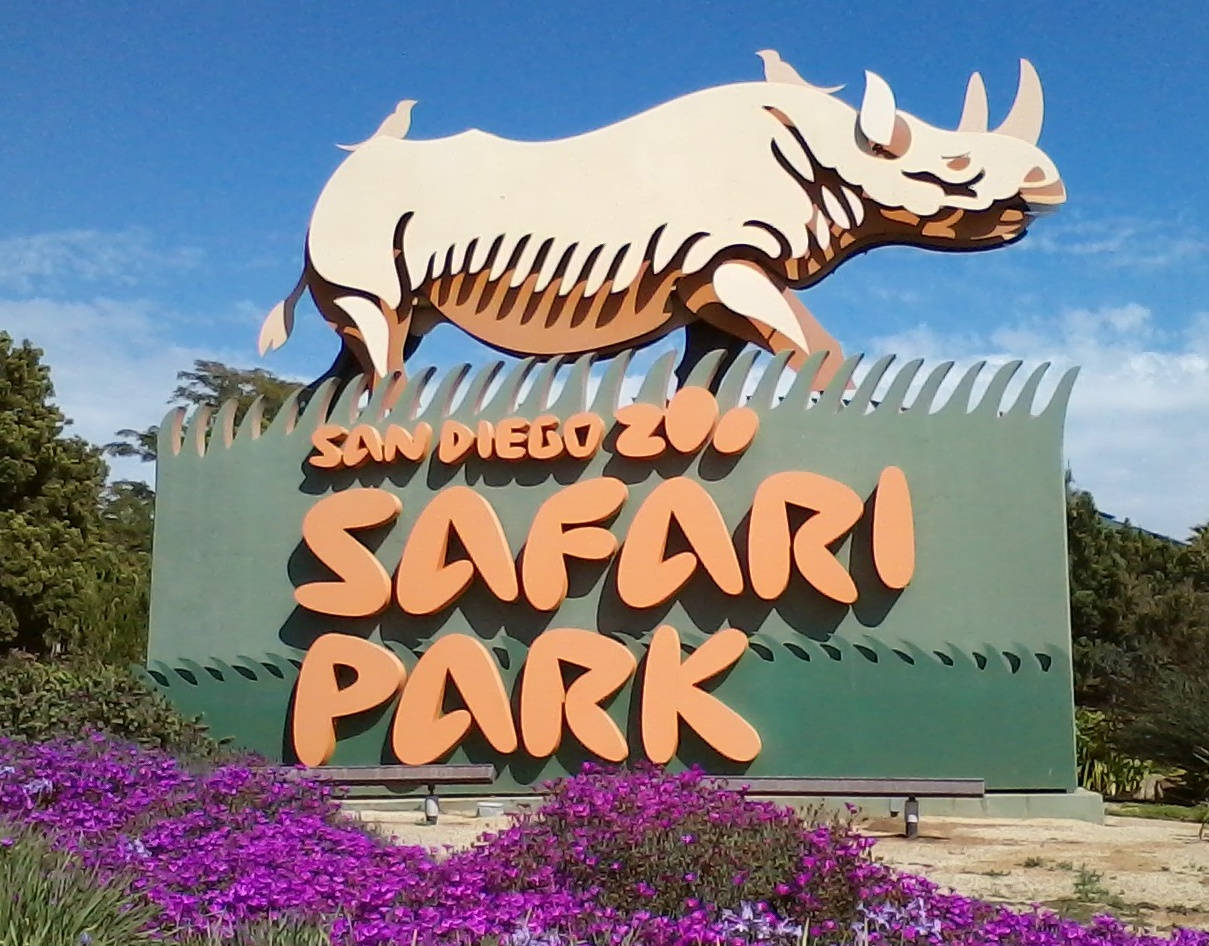 聖地牙哥動物園野生動物園標誌，帶有犀牛雕塑和紫色花朵