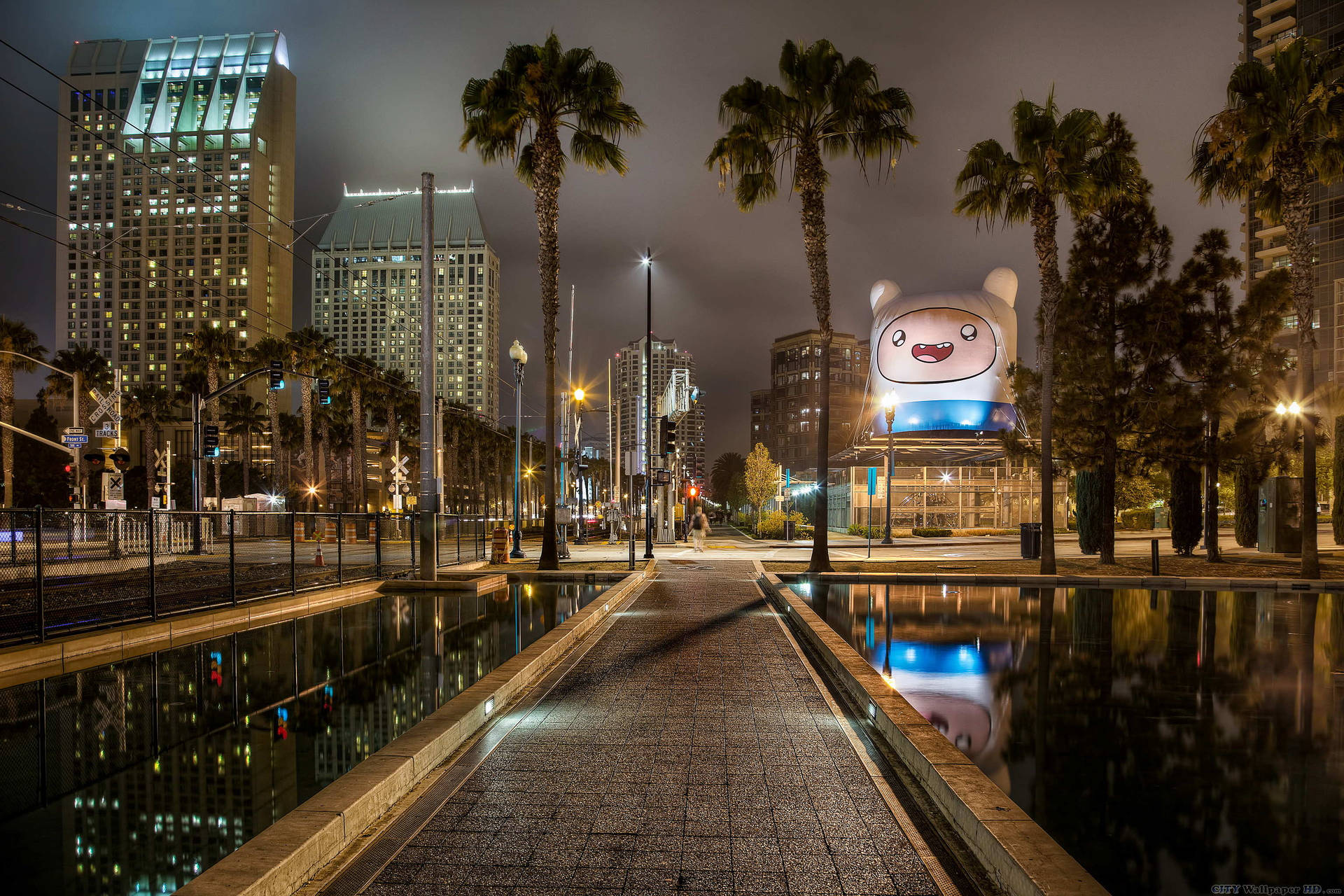 夜晚城市步道，棕櫚樹和一個巨大的芬恩廣告牌倒映在水中。