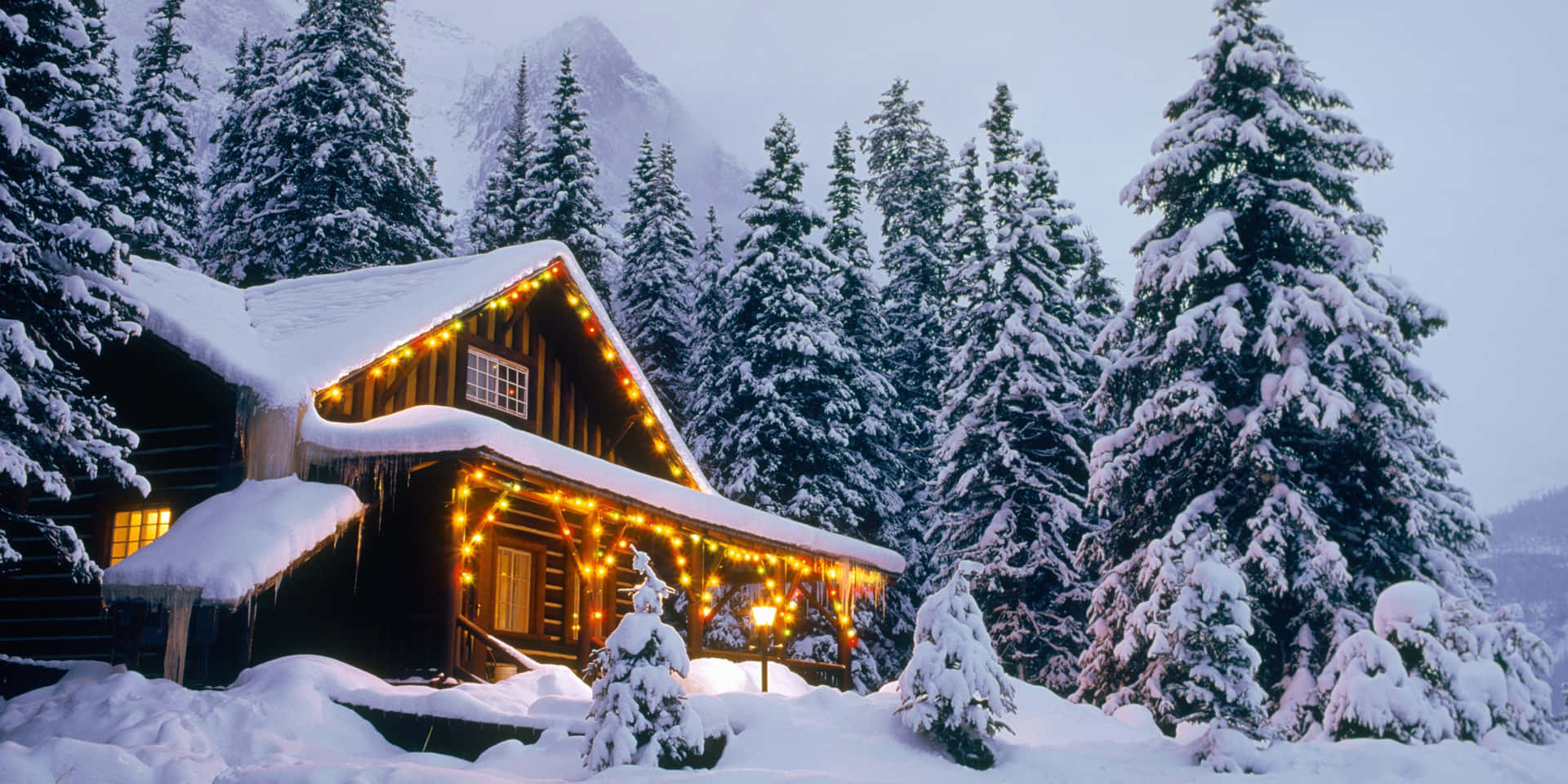 舒適的小屋，帶有串燈，坐落在山附近白雪皚皚的松樹林中。