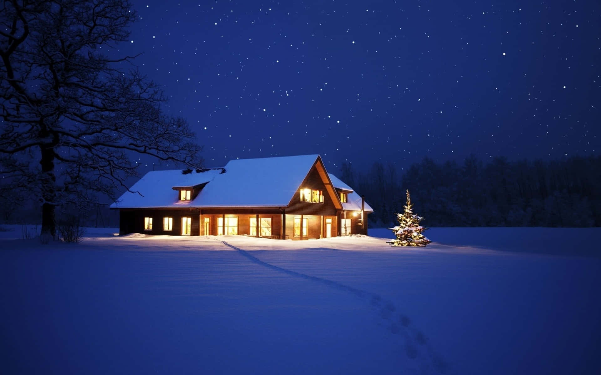 雪地小屋在星空下亮著溫暖燈光，旁邊有裝飾樹
